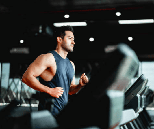 Waxy Maize - Carbohydrate Supplement (Original)